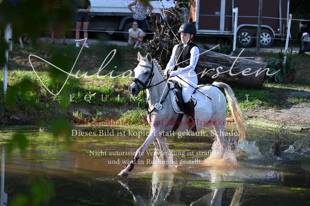 DSC_8965-2 | Pferde- und Turnierfotografie in Westsachsen. Pferdeportraits, Auftragszeichnungen und intuitive Kunst.