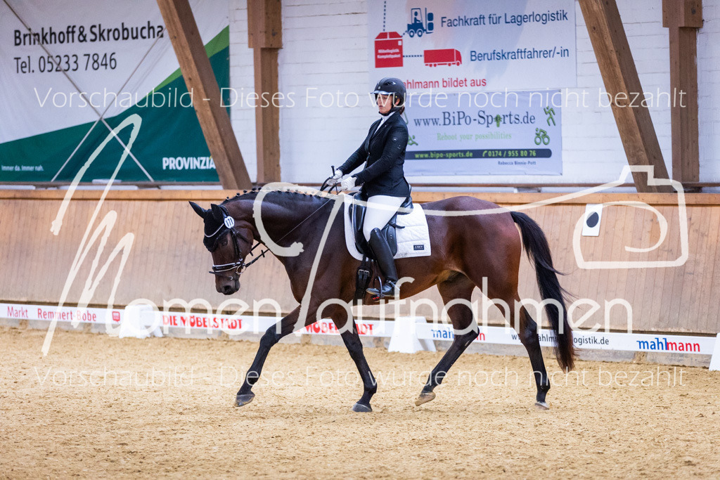 Sth-A-Dre-2St-010 | MomenTaufnahmen Pferdesportfotos