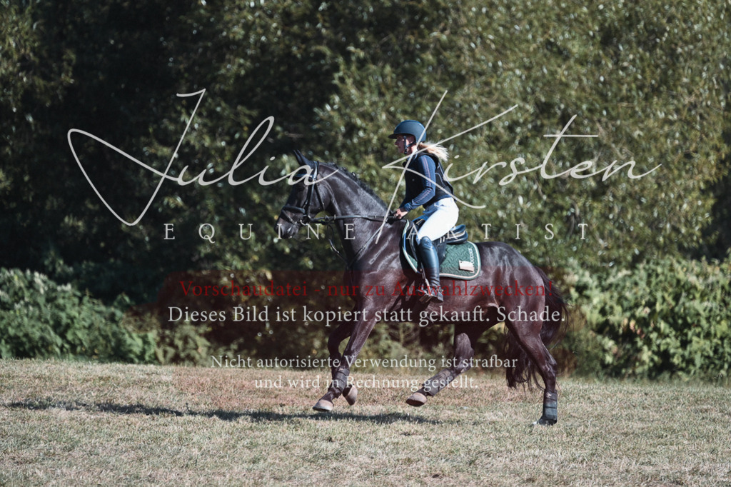 DSC_8804 | Pferde- und Turnierfotografie in Westsachsen. Pferdeportraits, Auftragszeichnungen und intuitive Kunst.