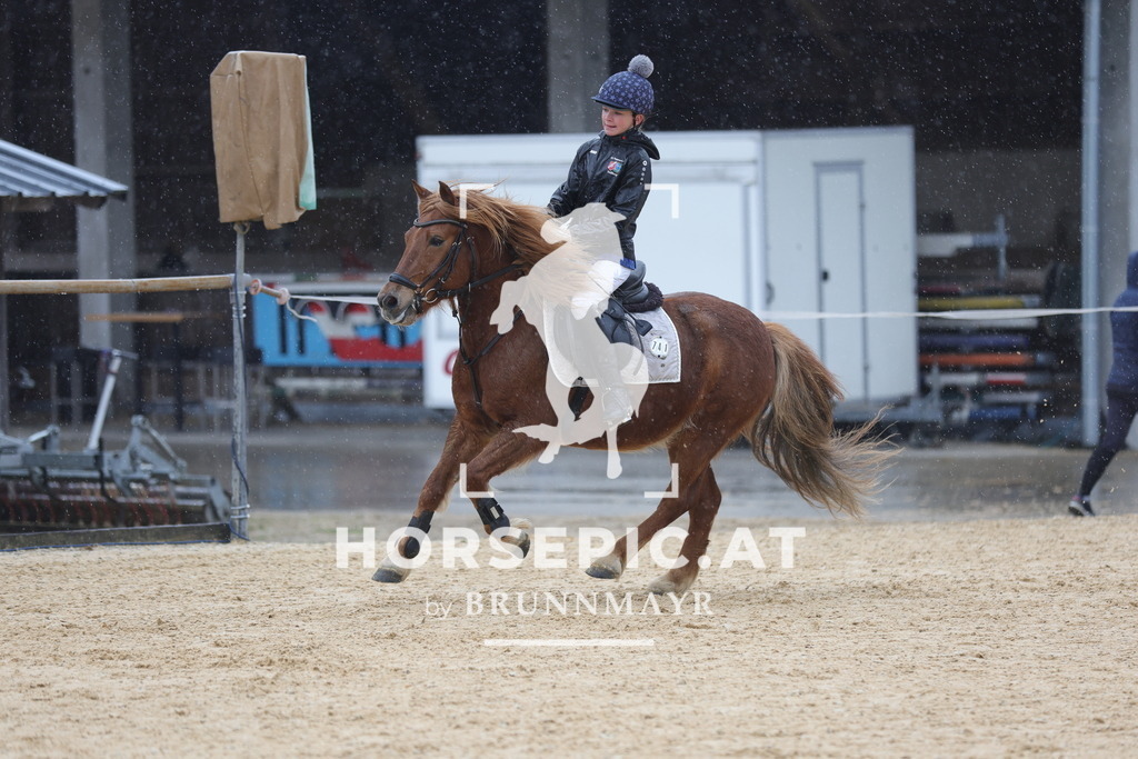0P6A7278 | Willkommen bei Brunnmayr - Design & Fotografie – Ihrem Spezialisten für Reitturniere und Pferdeveranstaltungen in Oberösterreich, Salzburg und Bayern! Seit über 17 Jahren sind wir leidenschaftlich dabei.