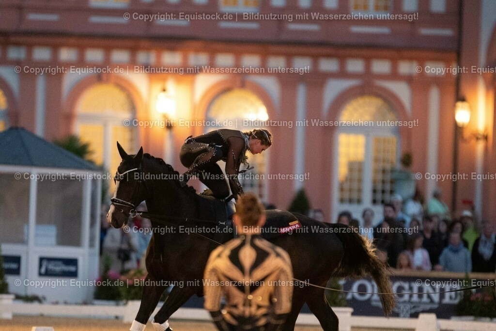 20230527_Voltigieren_NASPA_Flutlicht_0574 | equistock