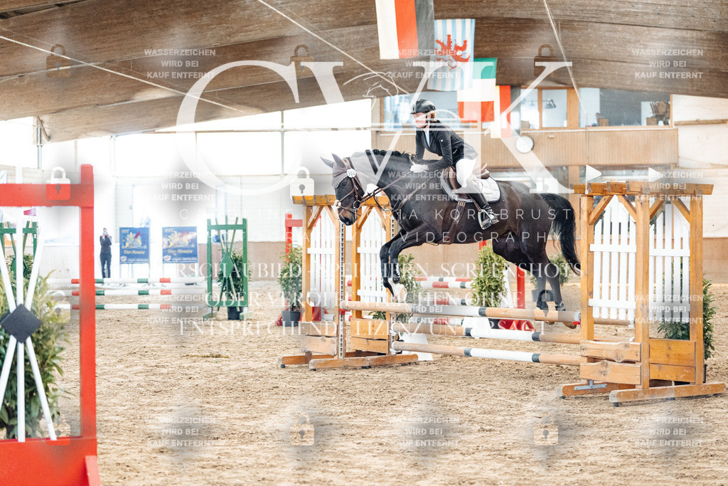 CK903873 | Turnierfotografie Pferdefotografie Trier Rheinland-Pfalz Pferdesport Reitsport Tierfotografie Sportfotografie Pferdevideo Pferdevideografie Equestrianvideography equestrianphotography  - Realisiert mit Pictrs.com