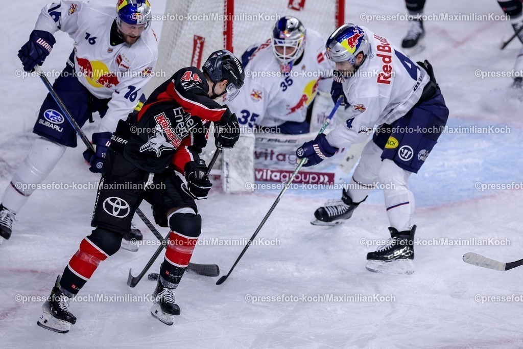 KEC28012501058 | 28.01.2025, Eishockey, DEL, Kölner Haie - EHC Red Bull München, Spieltag 41, Lanxess-Arena Köln: Kevin Niedenz (Kölner Haie #46) im Zweikampf um den Puck vor dem Tor von Goalie Mathias Niederberger (EHC München #35)