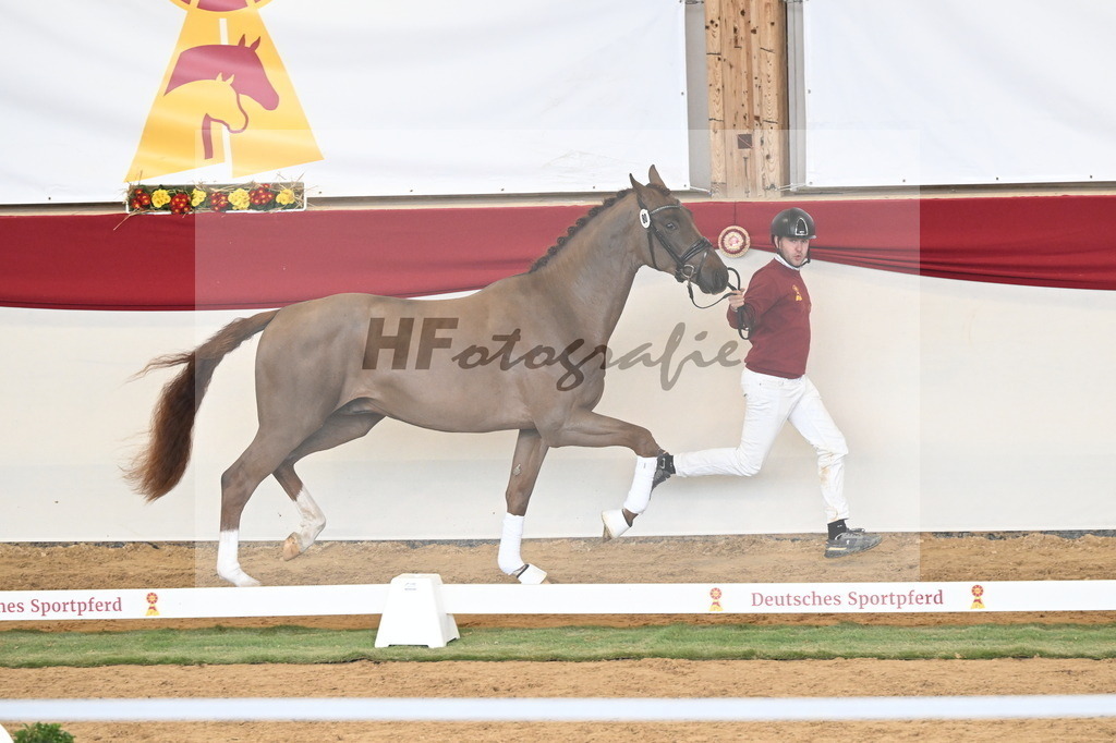 Kat.-Nr. 80 v. Va Bene_Klakow_3261253 | hf-fotografie - Realizzato con Pictrs.com