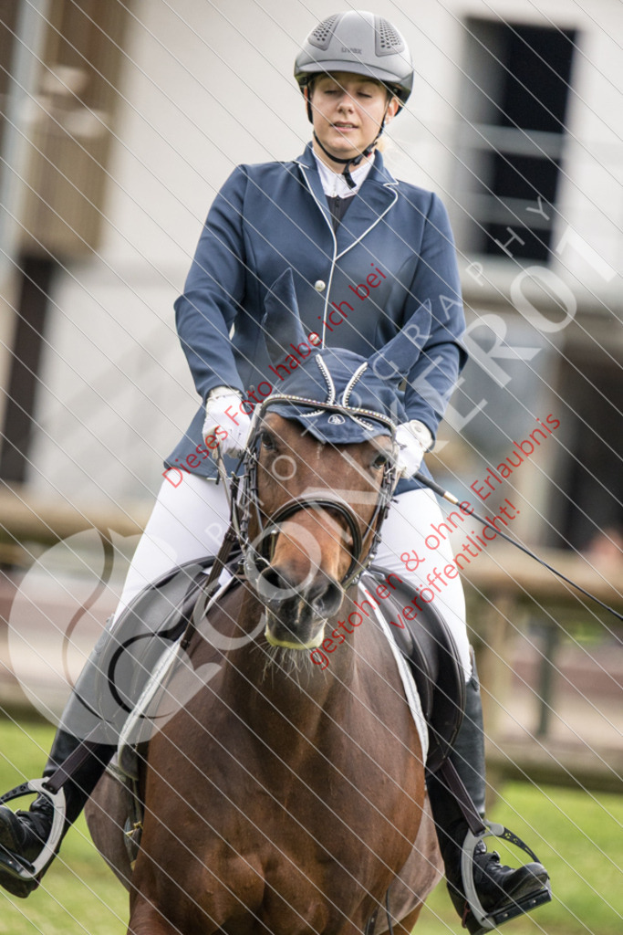 IMG_2686 | Sport-, Event- und Tierfotos in Profiqualität. Einfach auswählen, bestellen und herunterladen. Dein Moment – perfekt festgehalten.