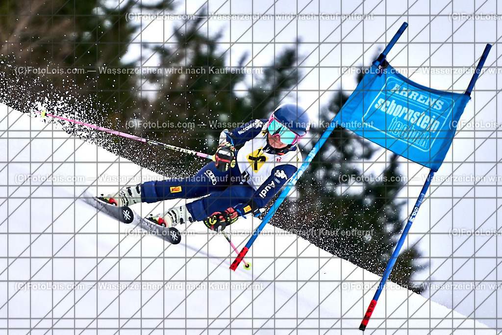 ALP6960_NOe-MASTERS-Cup-RTL_Distelpiste_Digruber Bettina 1 | (C)FotoLois.com, Alois Spandl. NÖ MASTERS-Cup Riesentorlauf auf der Distelpiste in Lackenhof, Sa 10. Februar 2024.