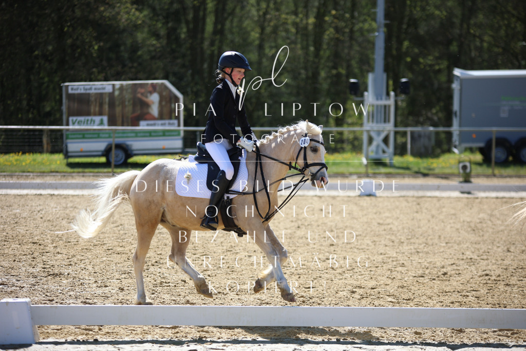 IMGT0648 | pl-fotografie