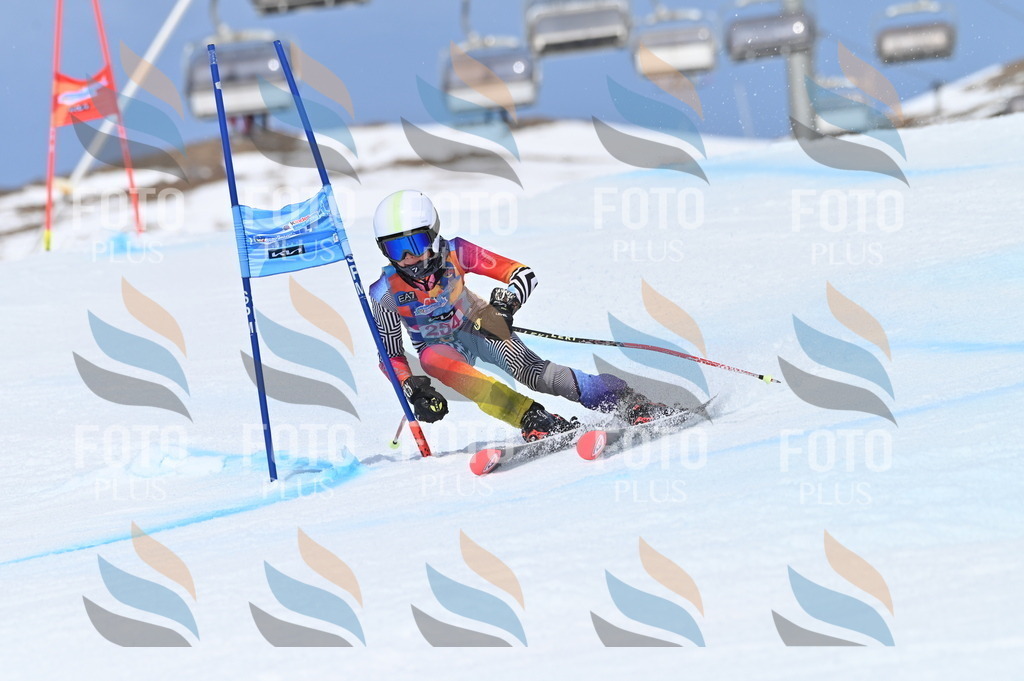 BGV_1959 | holidayphoto