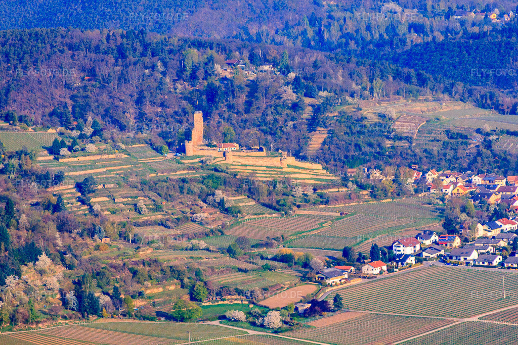 Luftbild: Wachtenburg (Ruine Burg Wachenheim) in Wachenheim an der Weinstraße im Bundesland Rheinland-Pfalz in Deutschland. Foto: IMG_49636.jpg vom 13.04.2012 durch Werner Riehm/FLY-FOTO.de