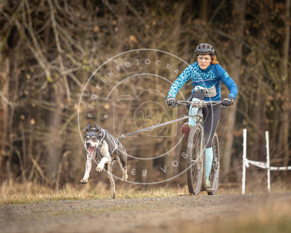 DV3A3385 | Hundefotografie, Tierfotograf, Pfotenfotografie, Fotoshooting Hund, Hunde Portrait, Hundesport, Hundeportraits, Heideshooting, Hunde, Sportfotograf, Hundefotograf, Turnierhundsport, THS,  - Realisiert mit Pictrs.com
