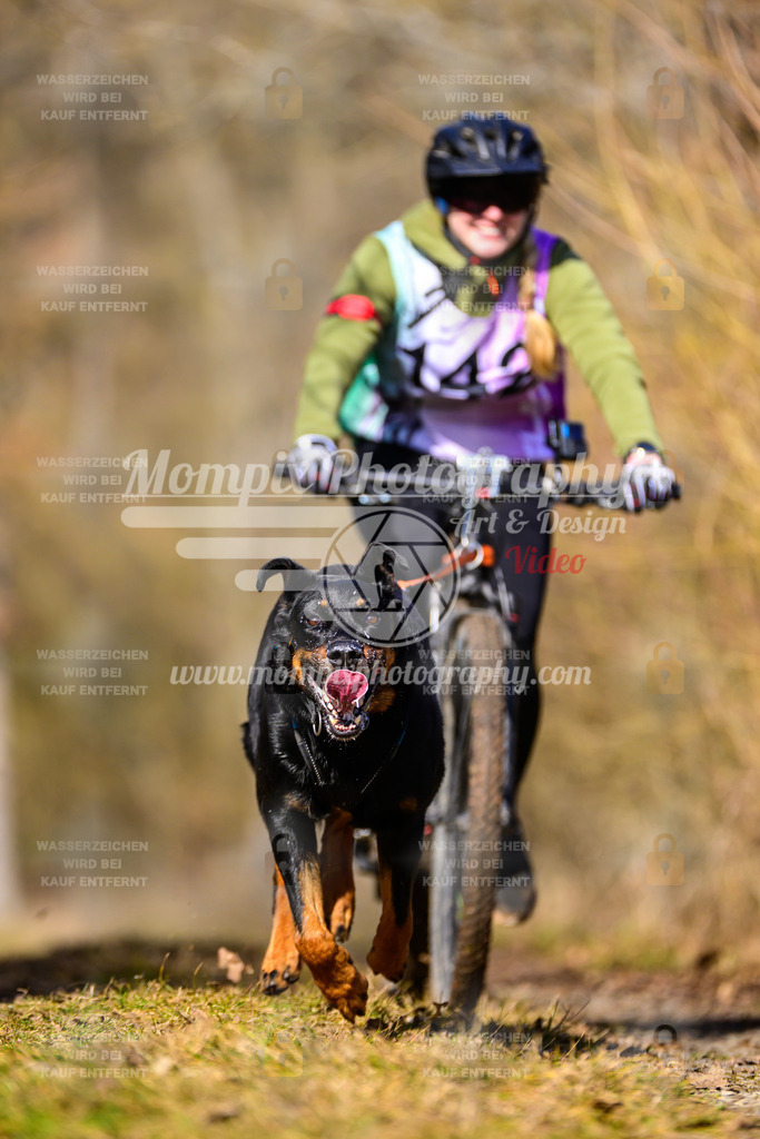 MompixPhotography_Schwabentrail2025_SO_Bike-122 | PayLife