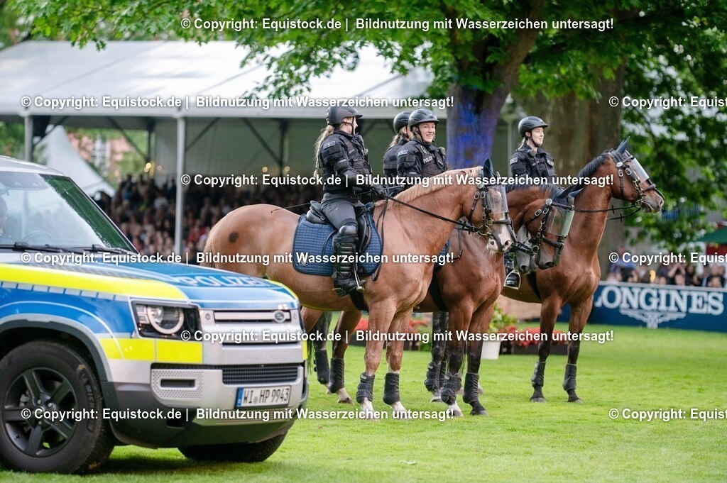 20250606_Lange-Pferdenacht_0689 | Foto: Thomas Hartig
