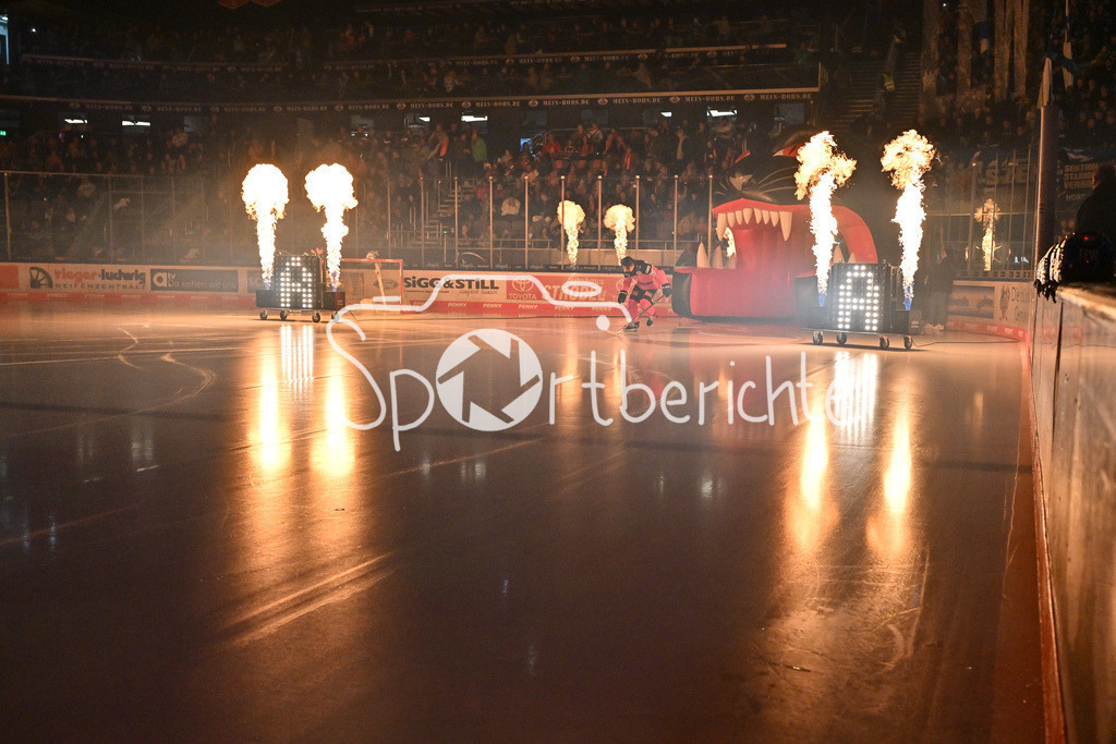 Augsburger Panther - Straubing Tigers | Der Einlauf der Panther vor der Partie gegen Straubing / DEL: Augsburger Panther - Straubing Tigers, Curt Frenzel Stadiom am 20.10.2024