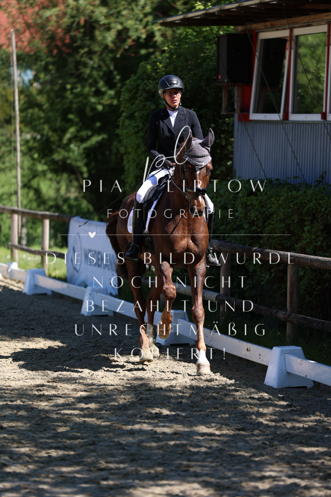 IMGS1103 | pl-fotografie