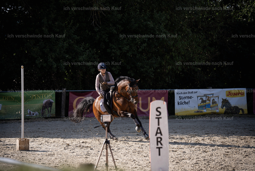 WS_SP_46_SinaFilmArt_IN09462 | working equitationturnier fotograf videograf stoibphotography marixx film working equitation deutschland reitsport turnierfotografie eventfotografie equestrian events