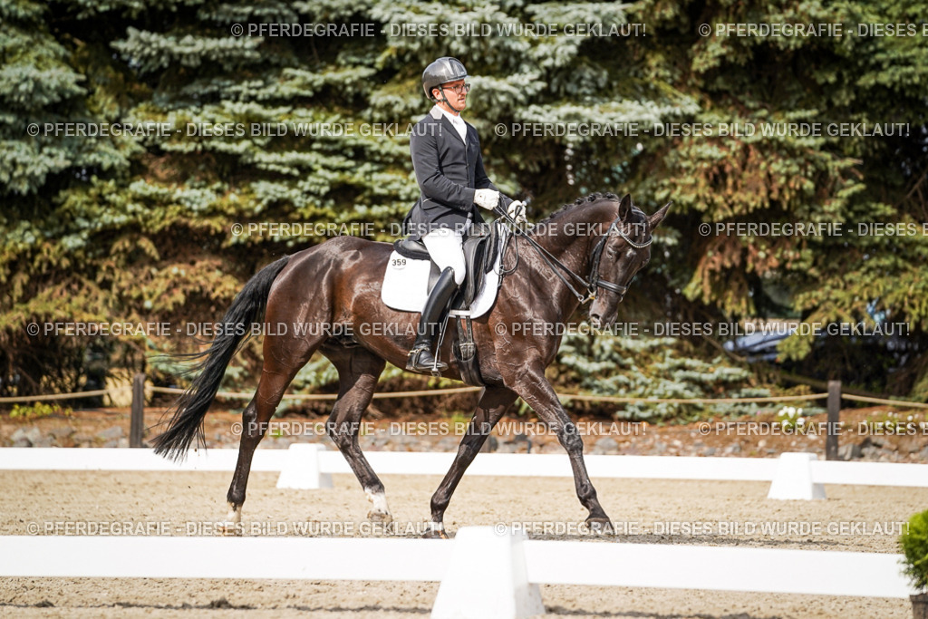 DSC06779 | Pferdegrafie