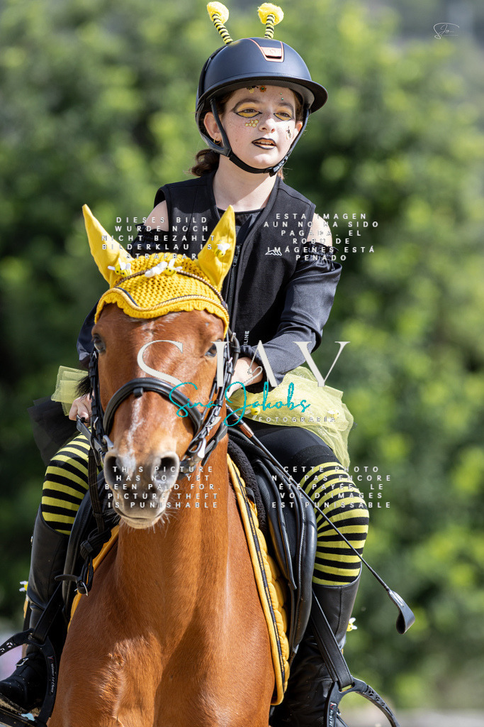 IMG_2184 | s-jay-photography - Realisiert mit Pictrs.com