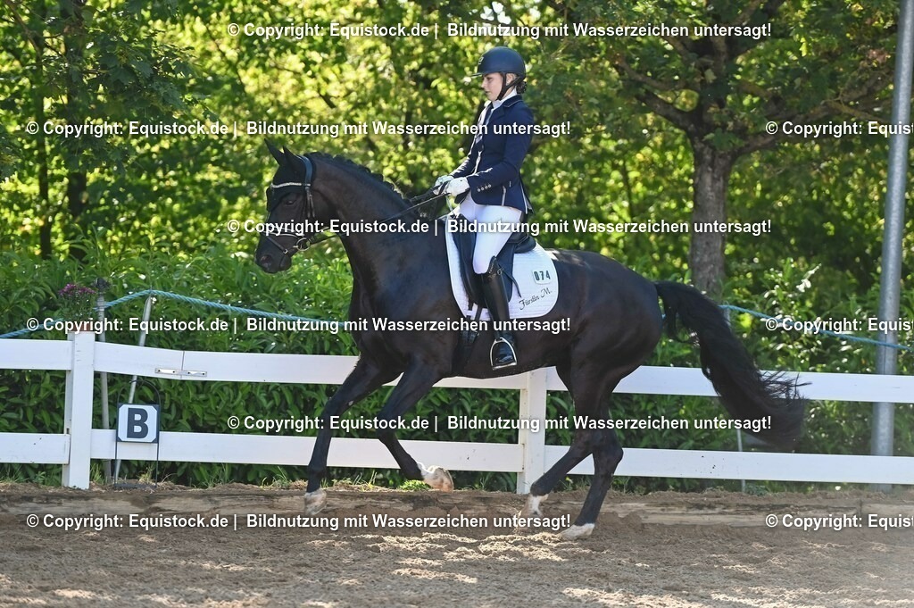 20230715_06_Dressurpferdeprfg. Kl.A_0262 | equistock
