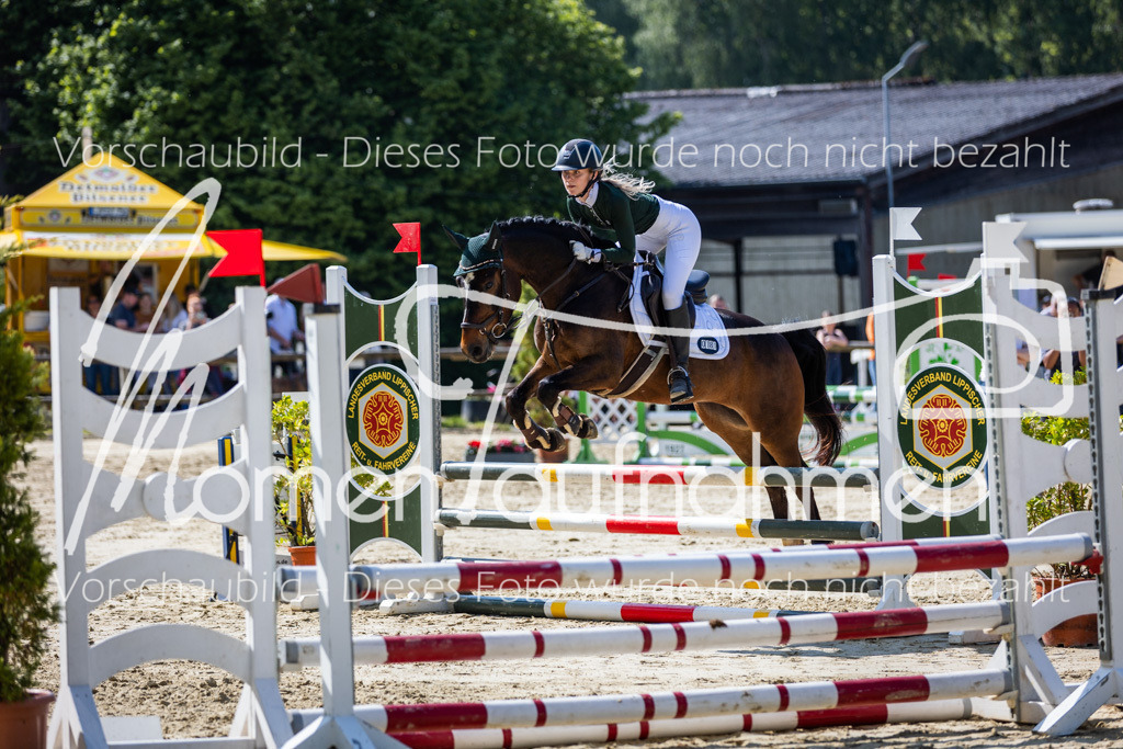 Donop24-ESpr-078 | MomenTaufnahmen Pferdesportfotos