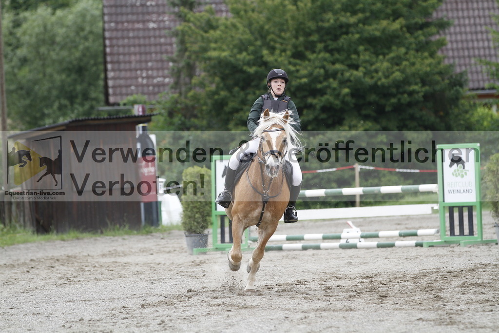 _MG_6262 | equestrian-live-com