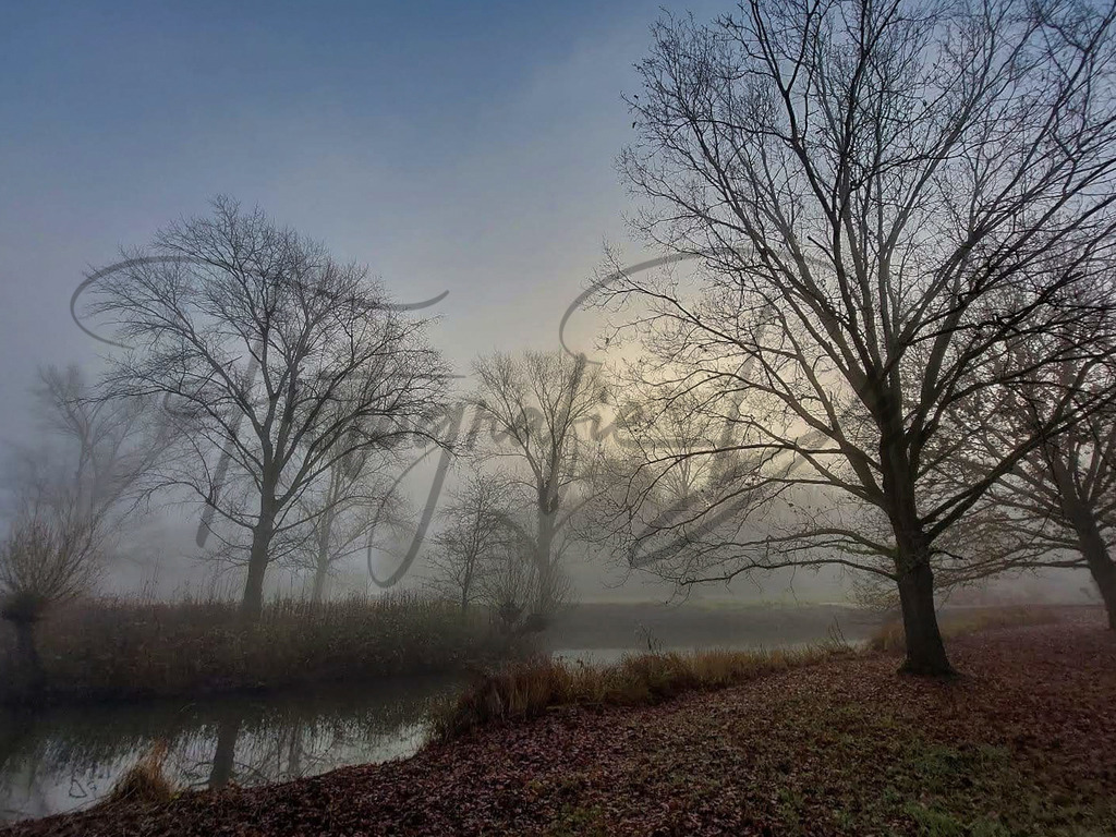 Bilder Homepage-17 | fotografie-derks - Realisiert mit Pictrs.com