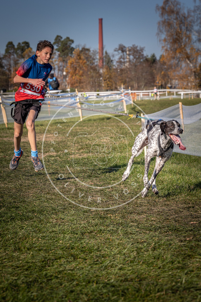 CaniXpix_0L8A7312 | Hundefotografie, Tierfotograf, Pfotenfotografie, Fotoshooting Hund, Hunde Portrait, Hundesport, Hundeportraits, Heideshooting, Hunde, Sportfotograf, Hundefotograf, Turnierhundsport, THS,  - Realisiert mit Pictrs.com