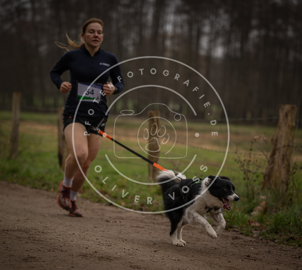 Pfotenfotografie_DV3A3005 | Hundefotografie, Tierfotograf, Pfotenfotografie, Fotoshooting Hund, Hunde Portrait, Hundesport, Hundeportraits, Heideshooting, Hunde, Sportfotograf, Hundefotograf, Turnierhundsport, THS,  - Realisiert mit Pictrs.com