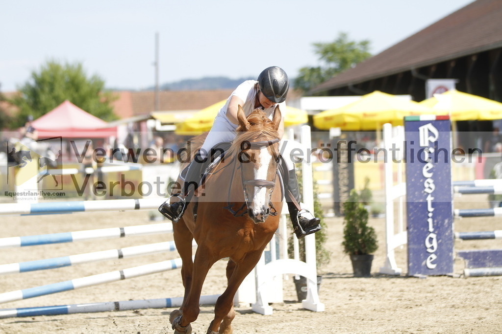 _MG_3128 | equestrian-live-com