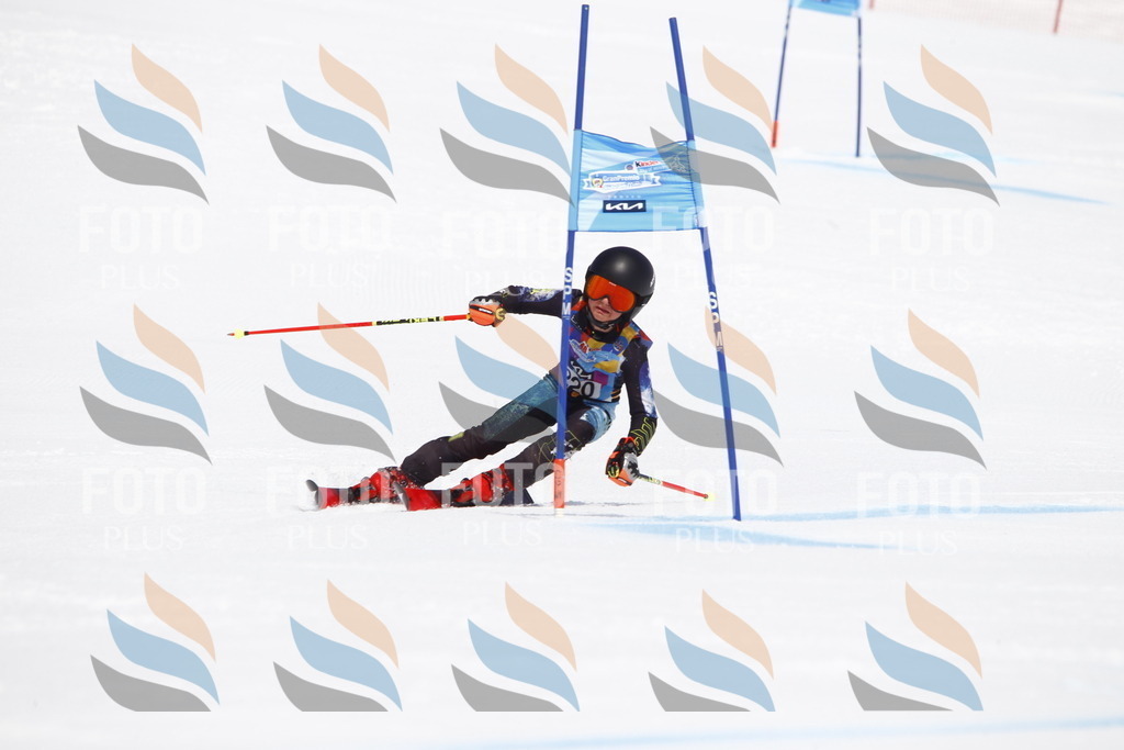 _U3G5669 | holidayphoto