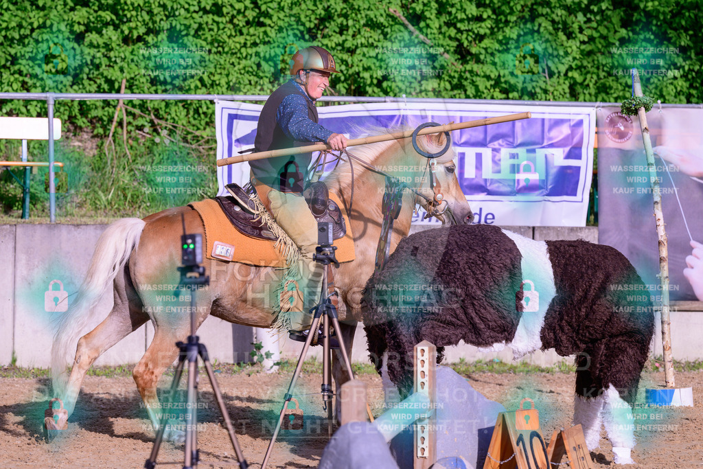 02052026-Giesenbach-03-Speedtrail-0408 | Fokus Hufschlag Fotografie - Realisiert mit Pictrs.com
