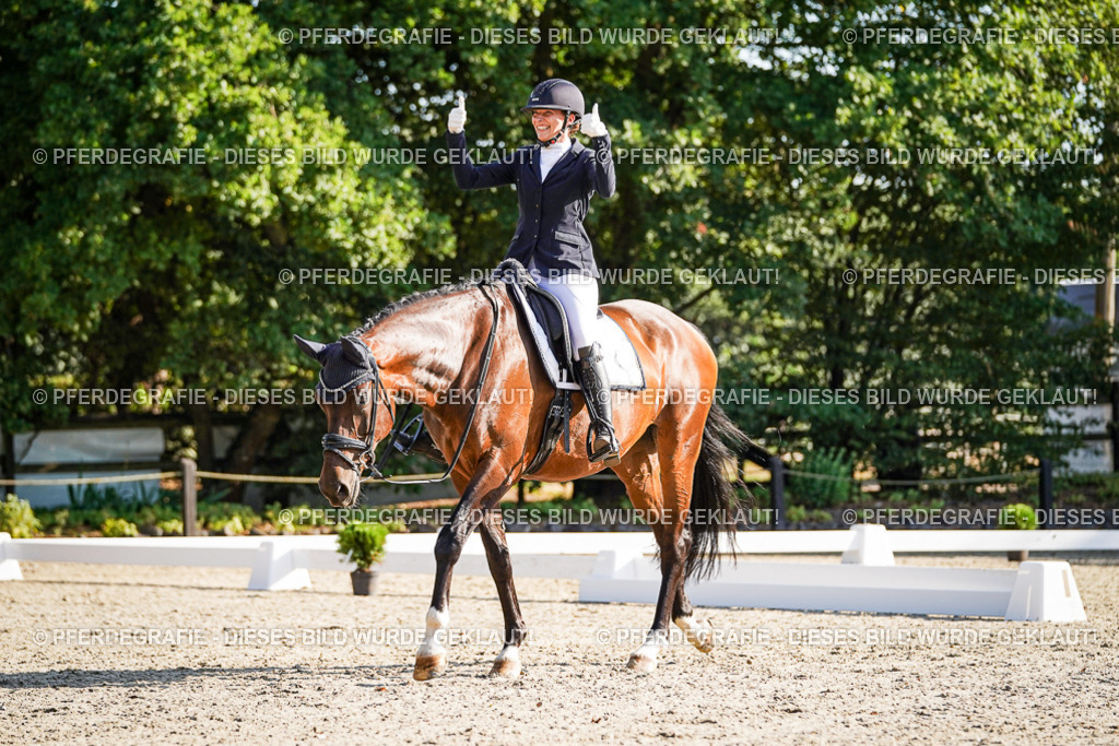 DSC08981 | Pferdegrafie