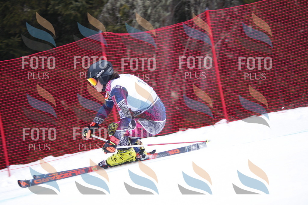 D4827 | holidayphoto