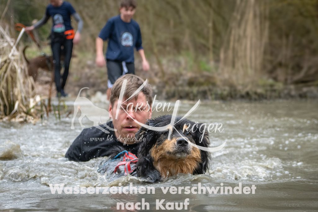 1103_ZZ95064 | kk-dogfotos