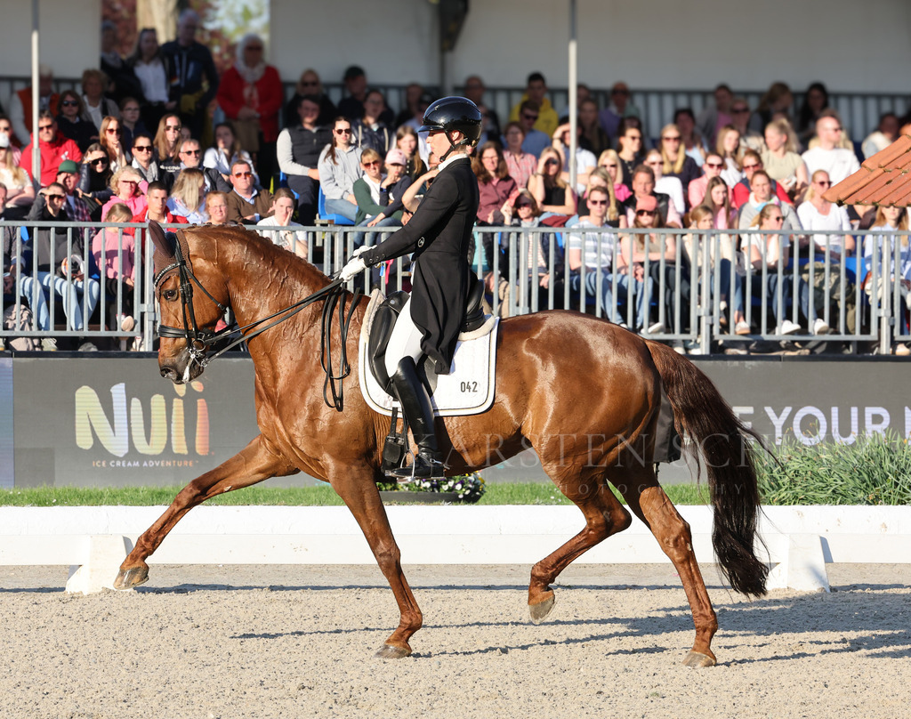 1B3A6753 | Karsten Schulz - Photography