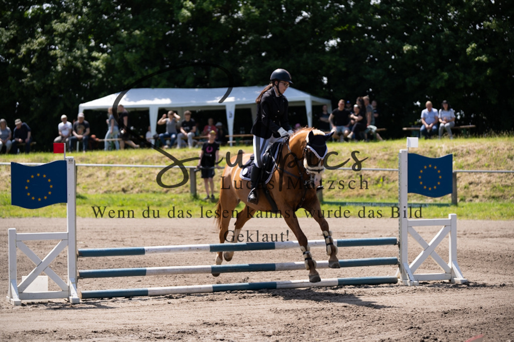 A7V04404 | Pferdefotograf