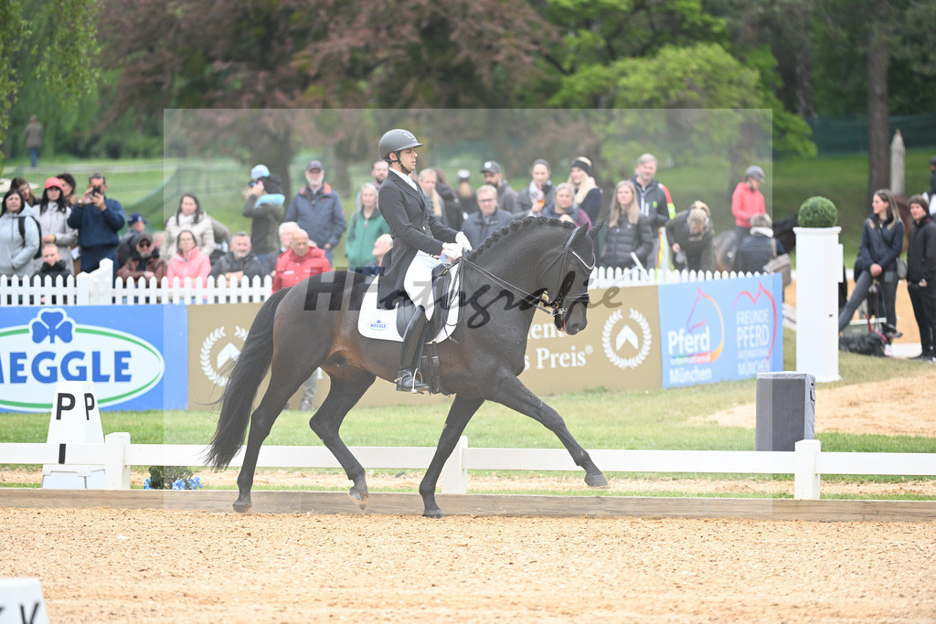 Carvajal_Meggles Boston_11232295 | hf-fotografie - Realisiert mit Pictrs.com