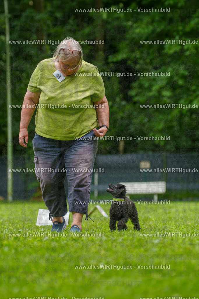 @allesWIRTHgut_Tierfotografie - www.allesWIRTHgut.de - 7R500407 | Professionelle Tierfotografie in Mönchengladbach von Daniel Wirth (allesWIRTHgut). Liebevolle & natürliche Bilder von Hunden & Katzen für unvergessliche Erinnerungen.