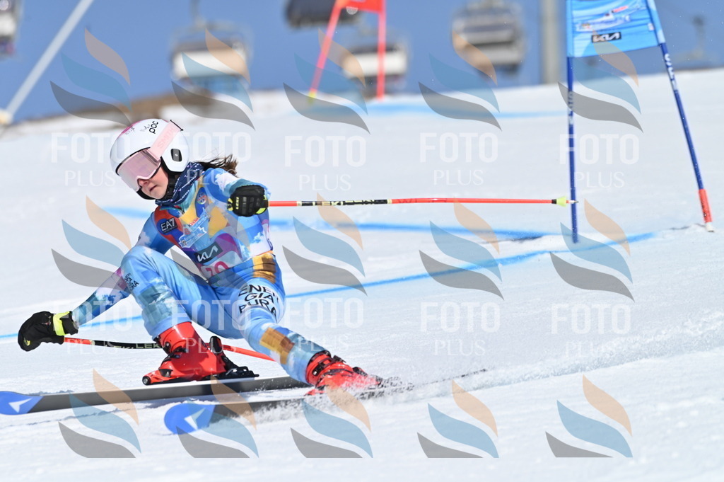 BGV_8910 | holidayphoto