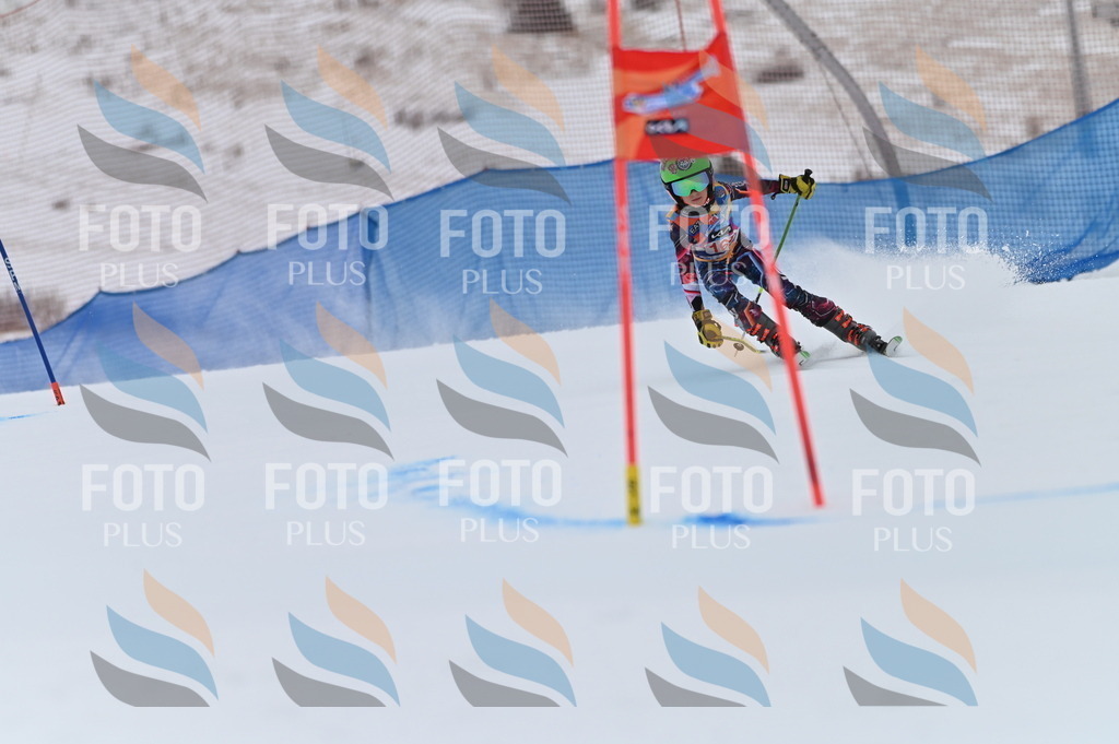 BGV_0338 | holidayphoto