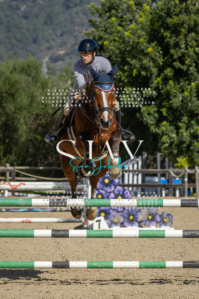 IMG_6560 | s-jay-photography - Realisiert mit Pictrs.com