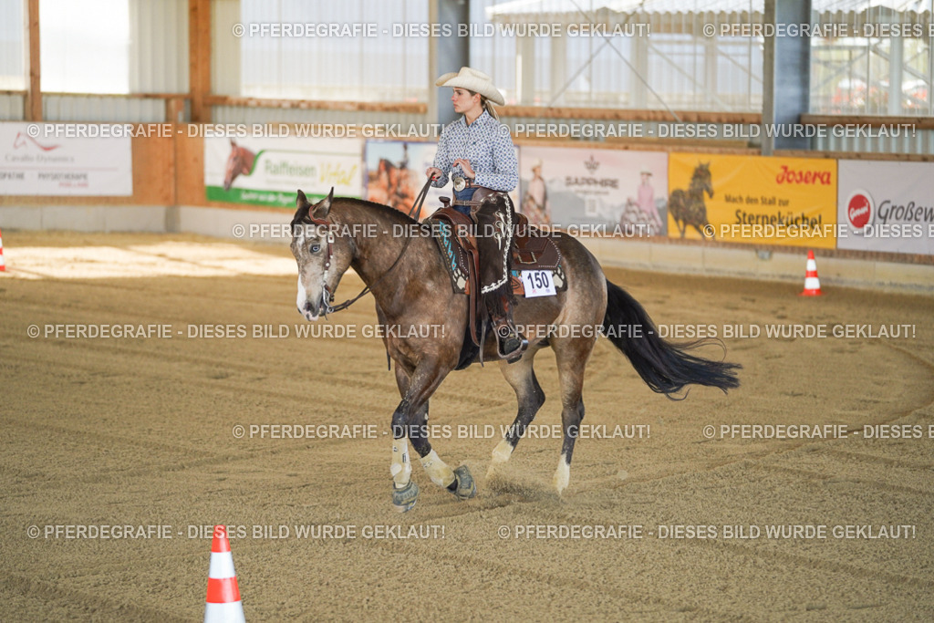 DSC00158 | Pferdegrafie