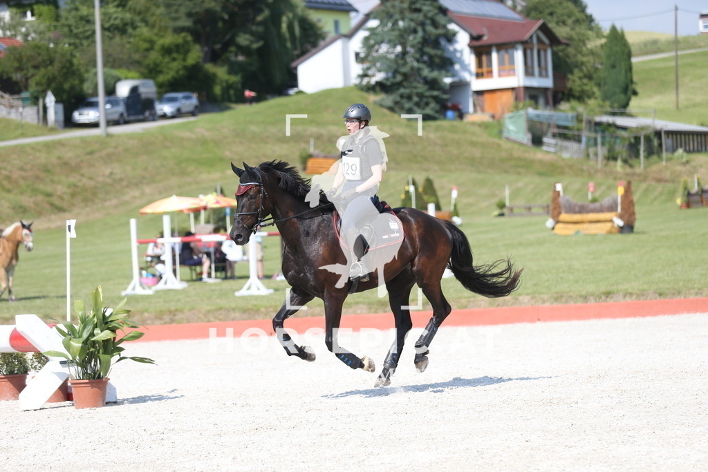 DL2Q2957 | Willkommen bei Brunnmayr - Design & Fotografie – Ihrem Spezialisten für Reitturniere und Pferdeveranstaltungen in Oberösterreich, Salzburg und Bayern! Seit über 17 Jahren sind wir leidenschaftlich dabei.