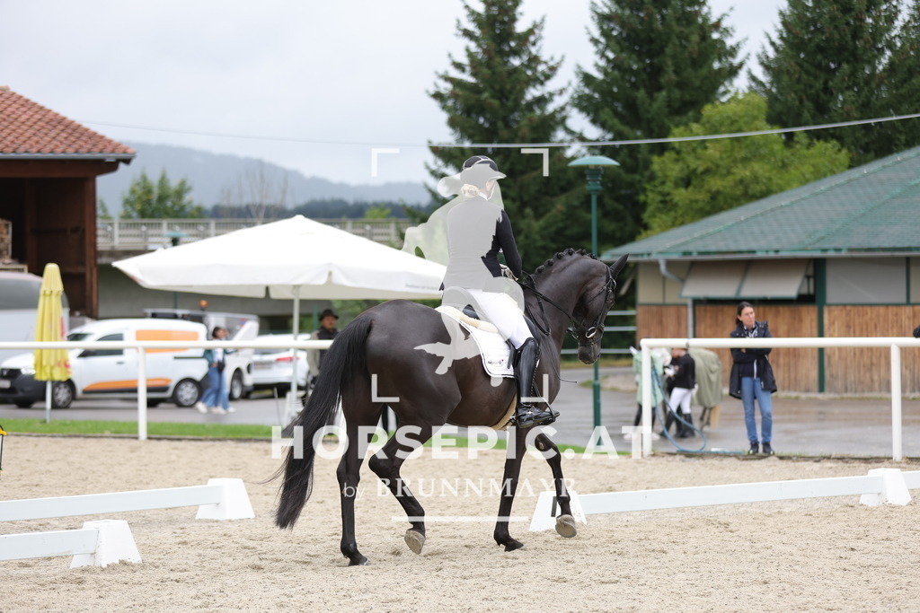 0P6A9146 | Willkommen bei Brunnmayr - Design & Fotografie – Ihrem Spezialisten für Reitturniere und Pferdeveranstaltungen in Oberösterreich, Salzburg und Bayern! Seit über 17 Jahren sind wir leidenschaftlich dabei.