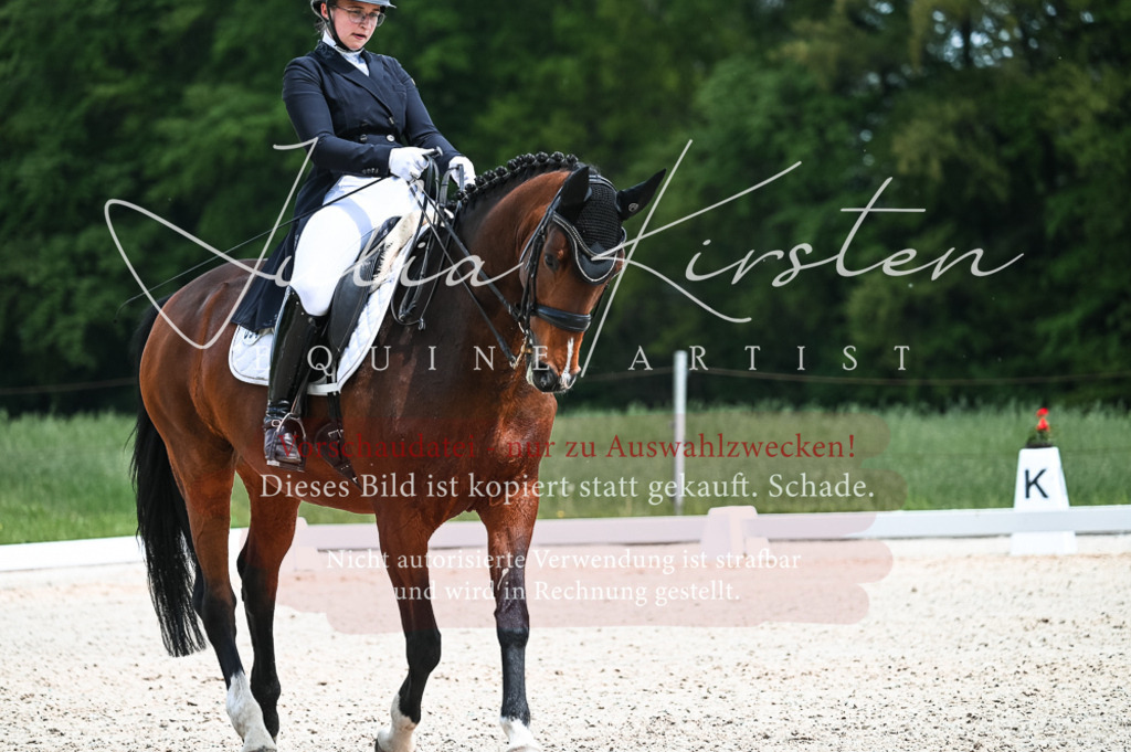 20230514_JK-Röhrsdorf-20-221 | Pferde- und Turnierfotografie in Westsachsen. Pferdeportraits, Auftragszeichnungen und intuitive Kunst.