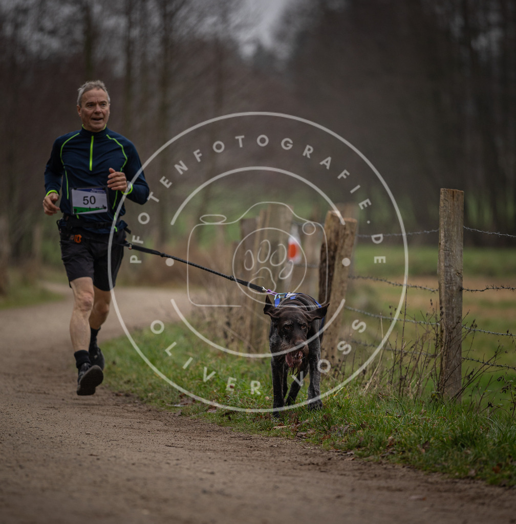 Pfotenfotografie_DV3A2814 | Hundefotografie, Tierfotograf, Pfotenfotografie, Fotoshooting Hund, Hunde Portrait, Hundesport, Hundeportraits, Heideshooting, Hunde, Sportfotograf, Hundefotograf, Turnierhundsport, THS,  - Realisiert mit Pictrs.com
