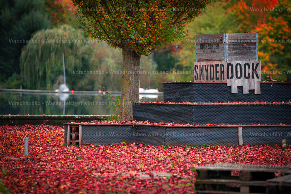 DSC05524 | marcuslinek