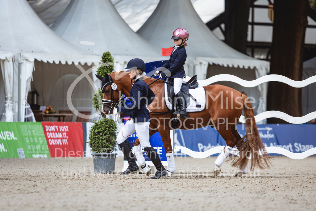 240915_OWLCh_FuehrzuegelWB-648 | Deine schönsten Turniermomente als professionelle Fotos! Entdecke hochwertige Pferdesport-Fotografie im Online-Shop. Jetzt Fotos finden & bestellen!