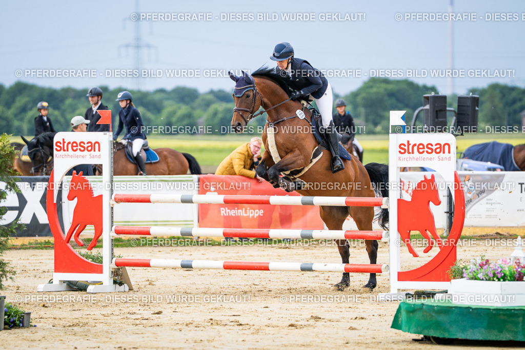 DSC03928 | Pferdegrafie