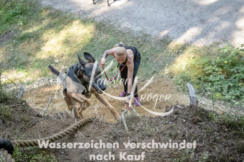 1219_ZZ93957 | kk-dogfotos