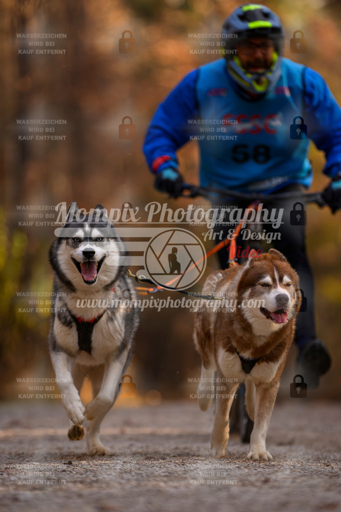 MompixPhotography_DM_AKDM_SO_2025_Scooter-70 | PayLife